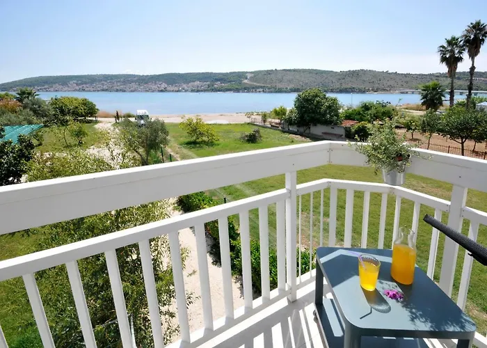 Olive * 트로기르