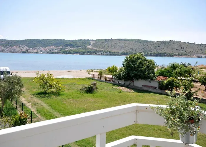 Olive * טרוגיר