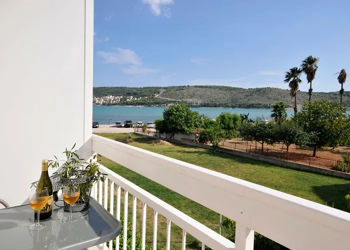 Olive * 트로기르