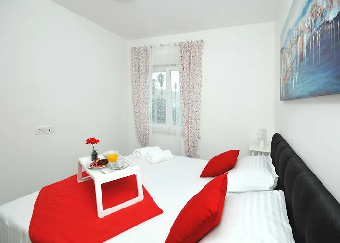 Olive * טרוגיר