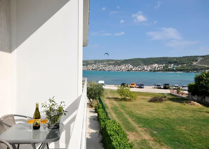 Olive * טרוגיר