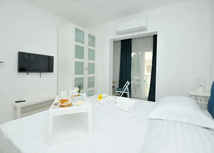 Olive * 트로기르