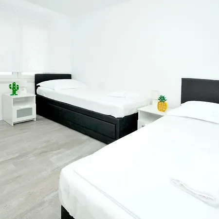Olive Trogir