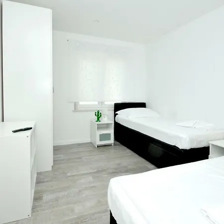 Olive Daire Trogir