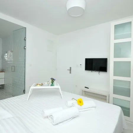 Daire Olive Trogir